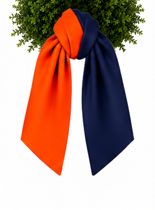 Bi Color Game Day Sashes