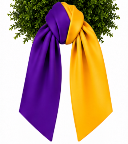 Bi Color Game Day Sashes